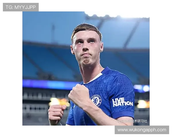 帕尔默进攻效率与战术角色解析：是否存在刷数据嫌疑